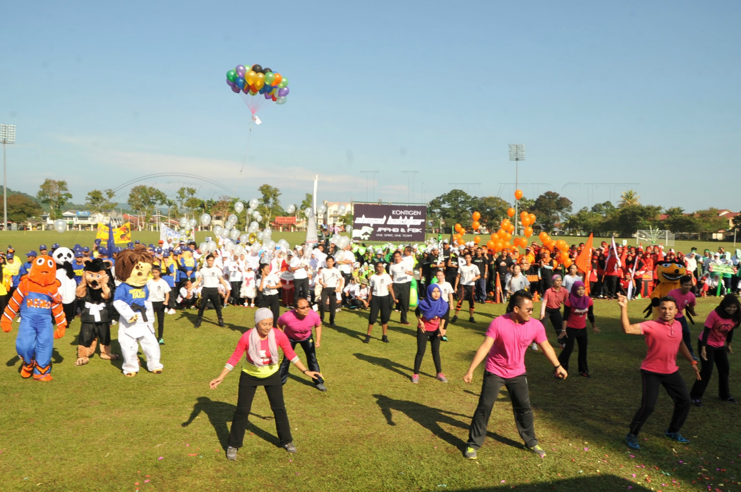 PRO 15 53 KIESTA HAS 3912